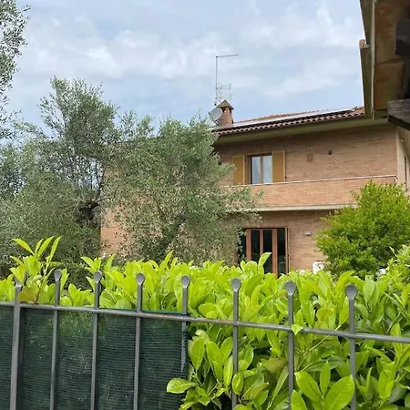 Lo Scosso * Siena